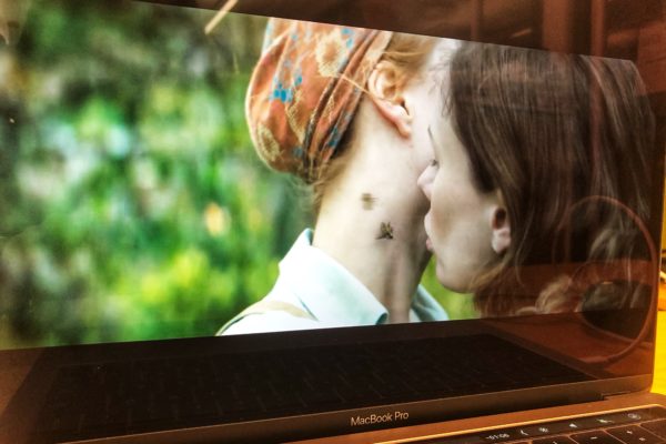 Tell it to the bees - o miłości zakazanej